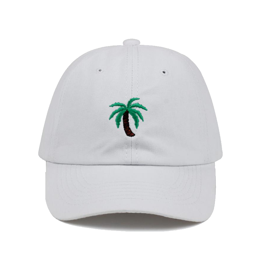 PALM TREE